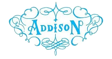 Addison Rae Store