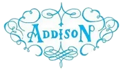 logo addison rae store